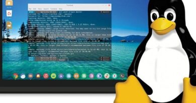 Linux là gì? Những thông tin cơ bản về Linux bạn nên biết