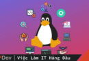 TOP 7 phiên bản phân phối của Linux phổ biến nhất hiện nay