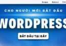 WordPress Là Gì? Hướng Dẫn Toàn Tập Cho Người Mới Bắt Đầu